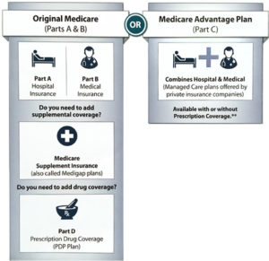 SHIIP (Seniors’ Health Insurance Information Program) | BSRI